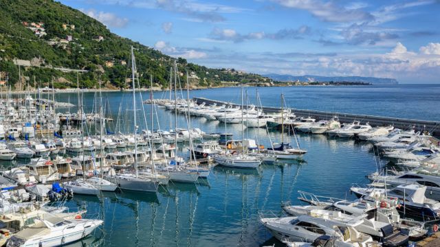 White yachts docked in port