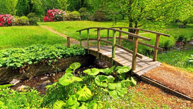 Old wooden bridge in a beautiful garden