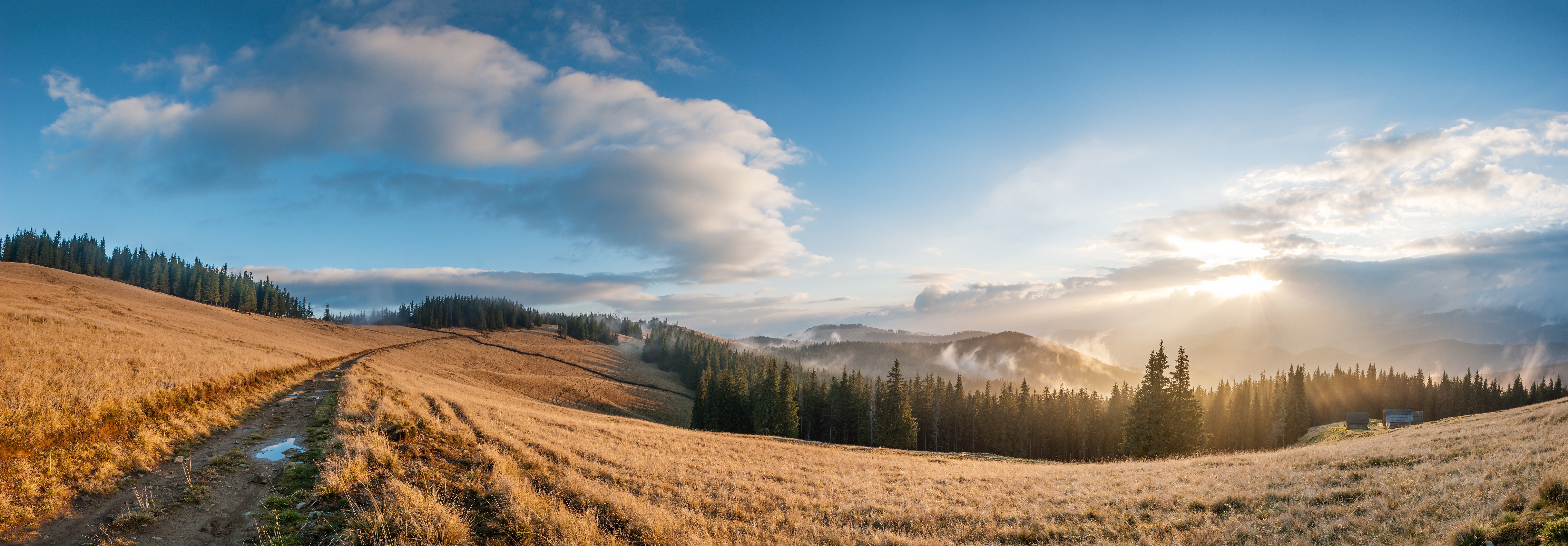 Autumn panorama with road, forest and dramatic sky