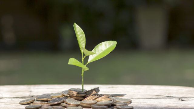 Plant growing from coins