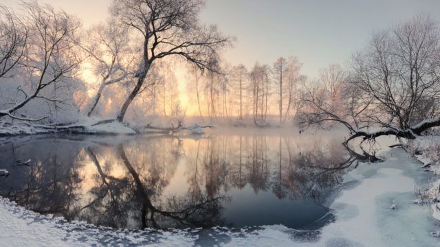 Winter sun illuminate frosty trees in the morning