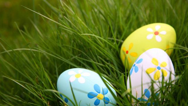 Painted Colorful Easter Eggs in Grass