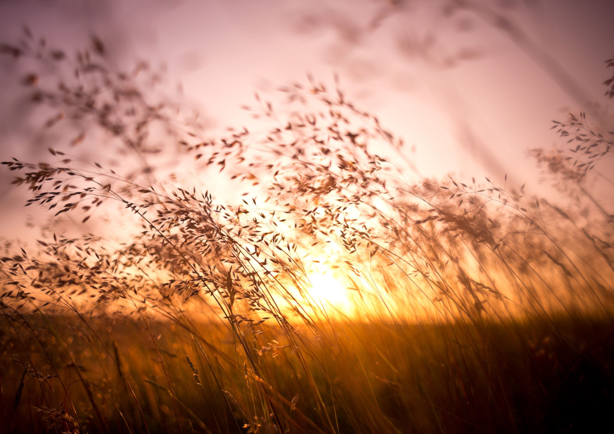Top tips to embrace the lighter evenings • Depledge Strategic Wealth