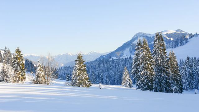 Winter Landscape