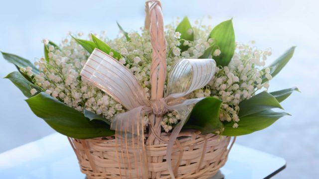 Bouquet of Lily of the valley