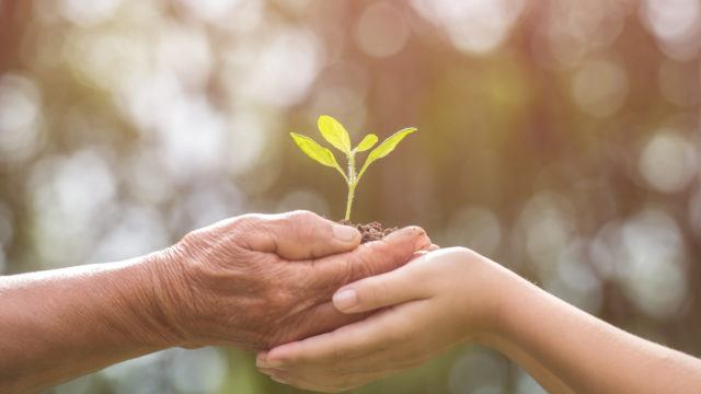 father passing sapling to son