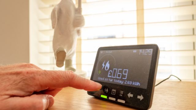 person reading smart energy meter